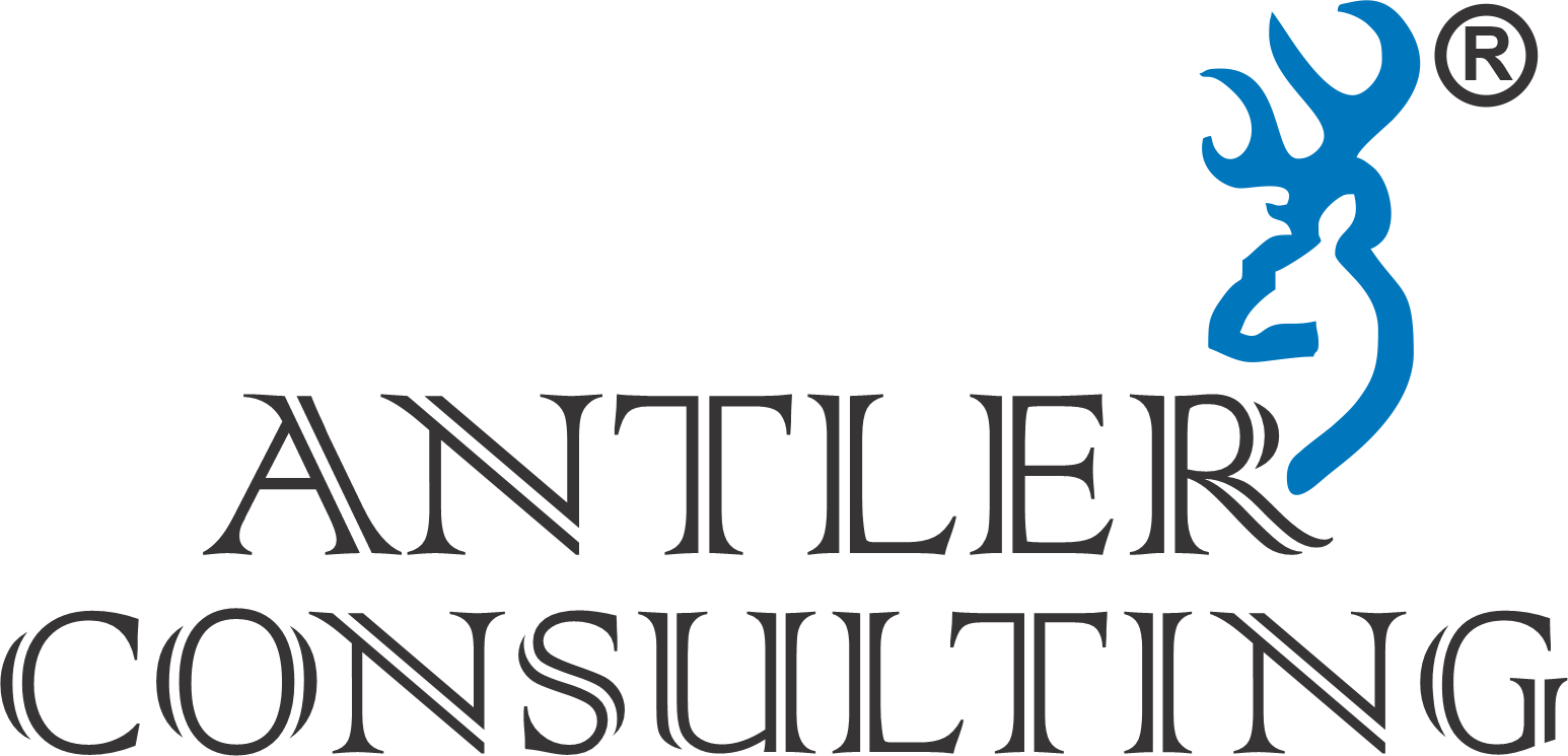 ANTLER Consulting
